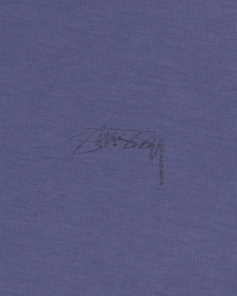 Stussy Lazy LS Tee - Unisex Longsleeve Azuis Escuro | GPTUC61392