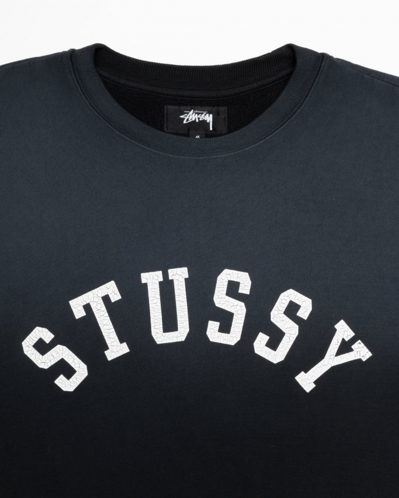 Stussy Sun Faded Oversized Crew - Unisex Hoodies Pretas | PPTER39342