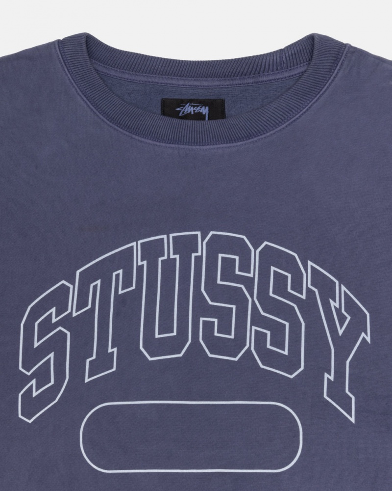 Stussy Varsity Oversized Crew - Unisex Hoodies Azuis | GPTEC56784